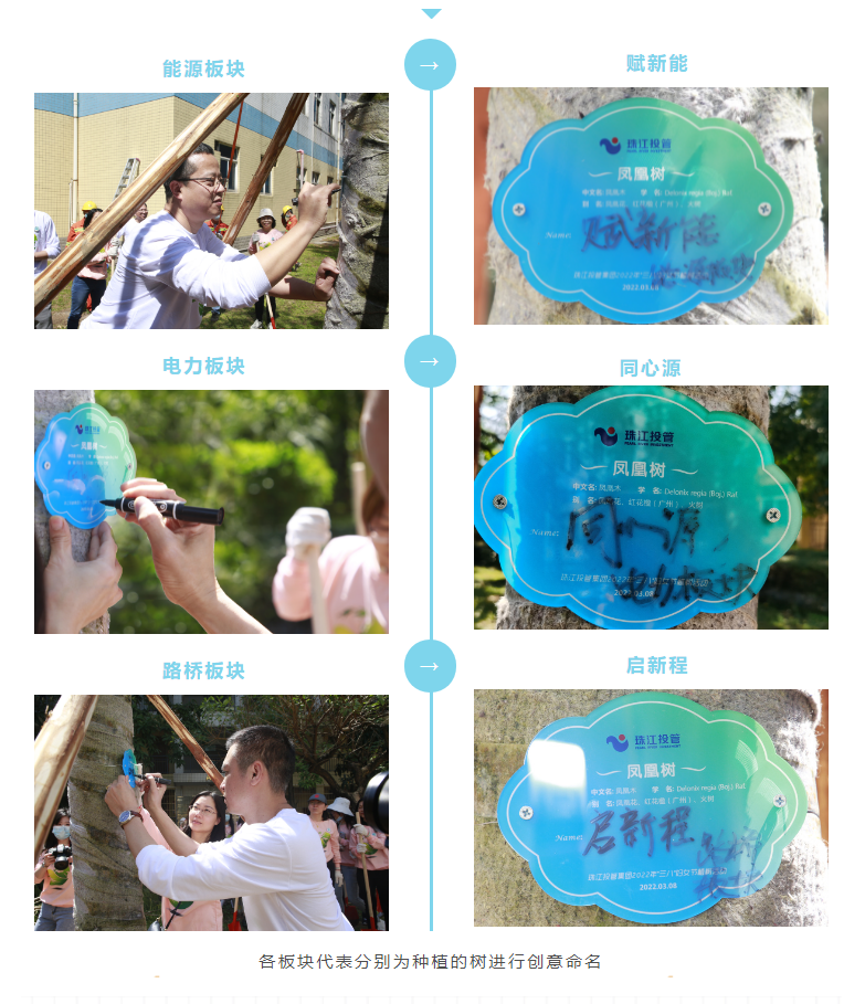 各項(xiàng)目代表命名.png